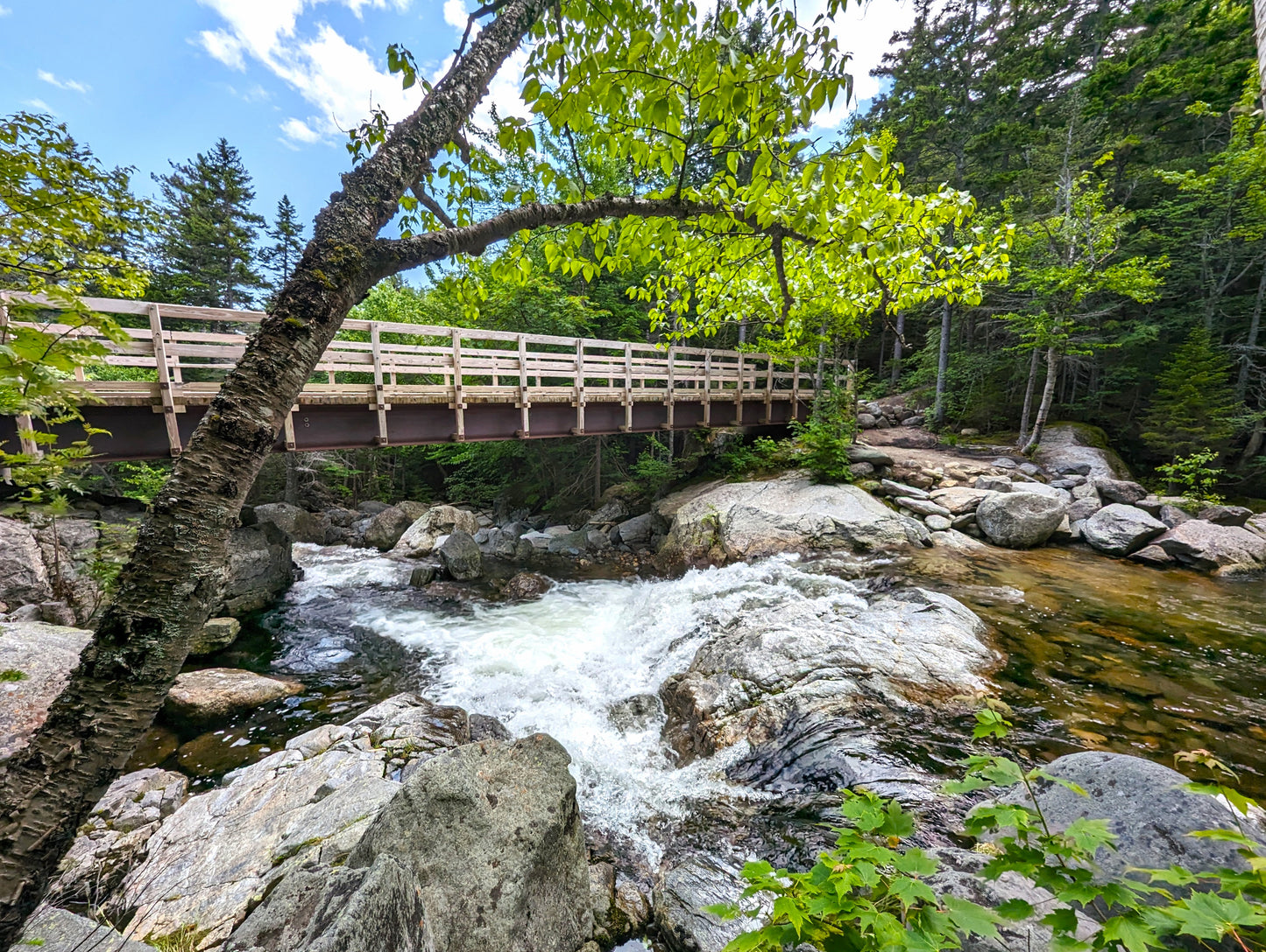 Cutler River Framed Artwork