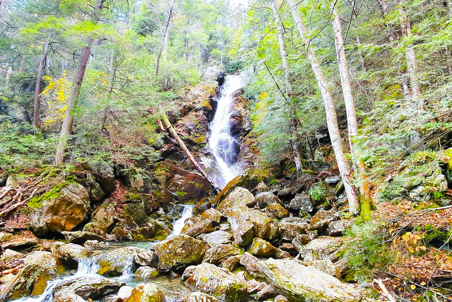 Race Brook Falls Canvas Art Print