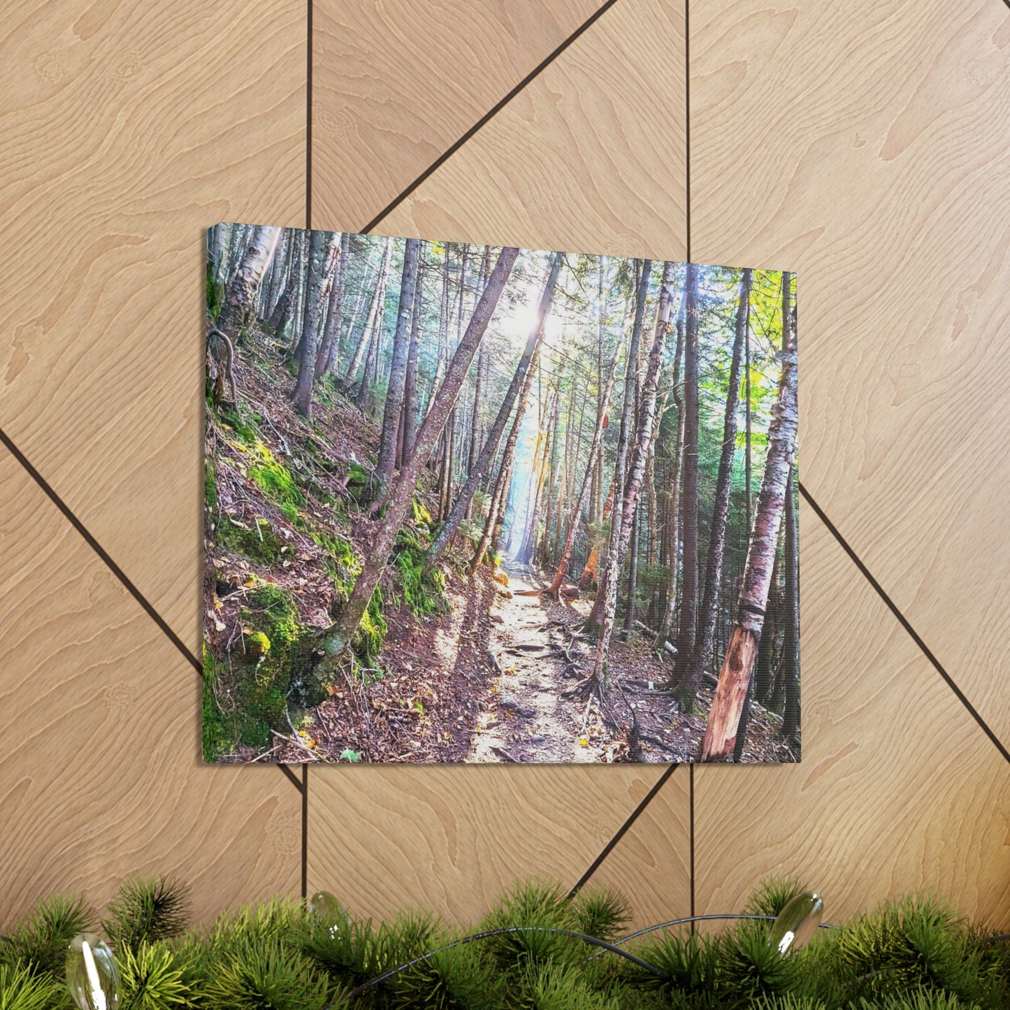 Franconia Forest Canvas Art Print