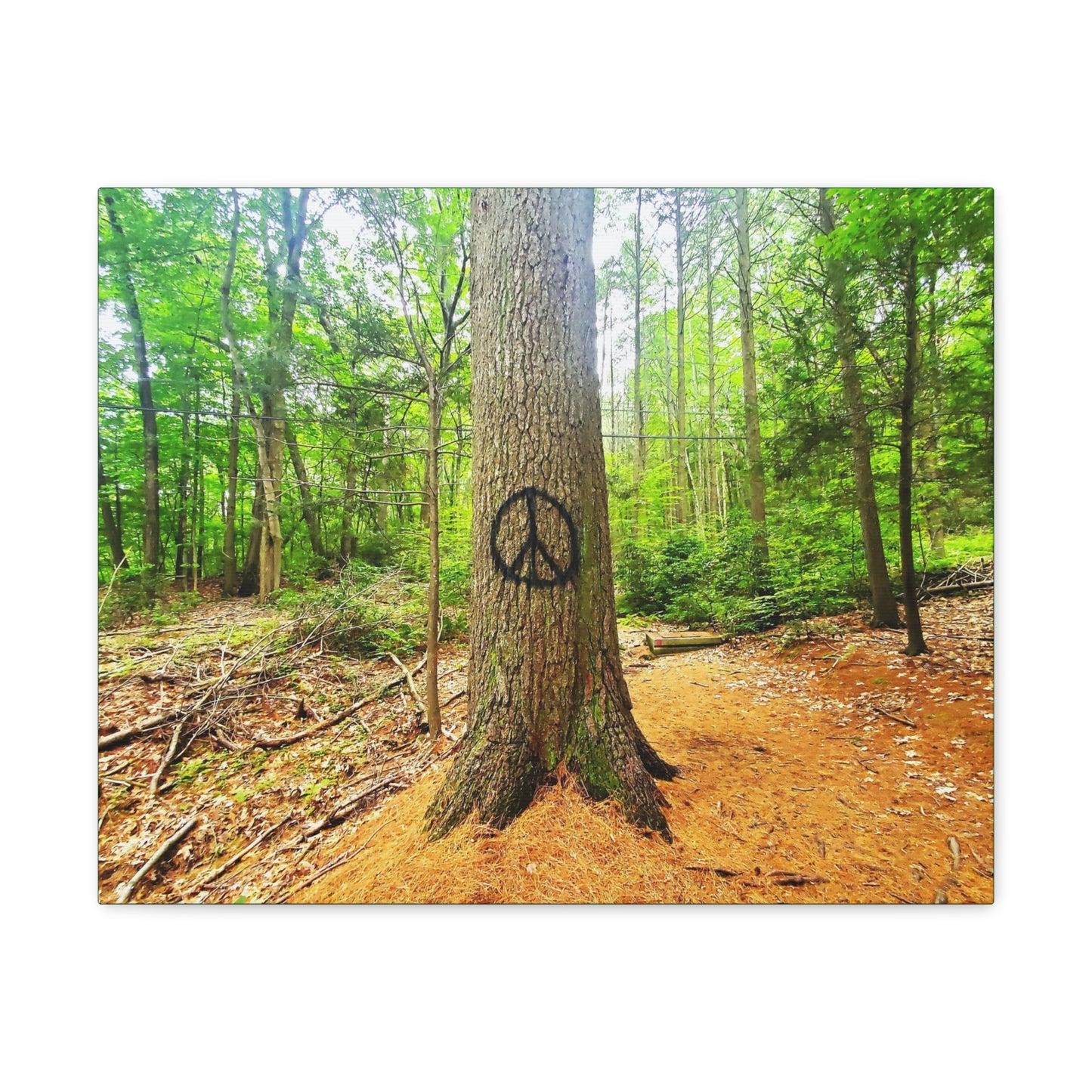 Peace Tree Canvas Art Print