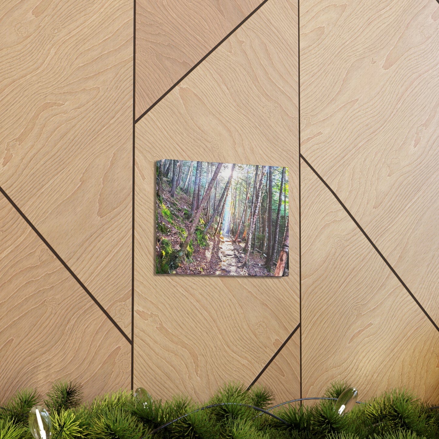 Franconia Forest Canvas Art Print