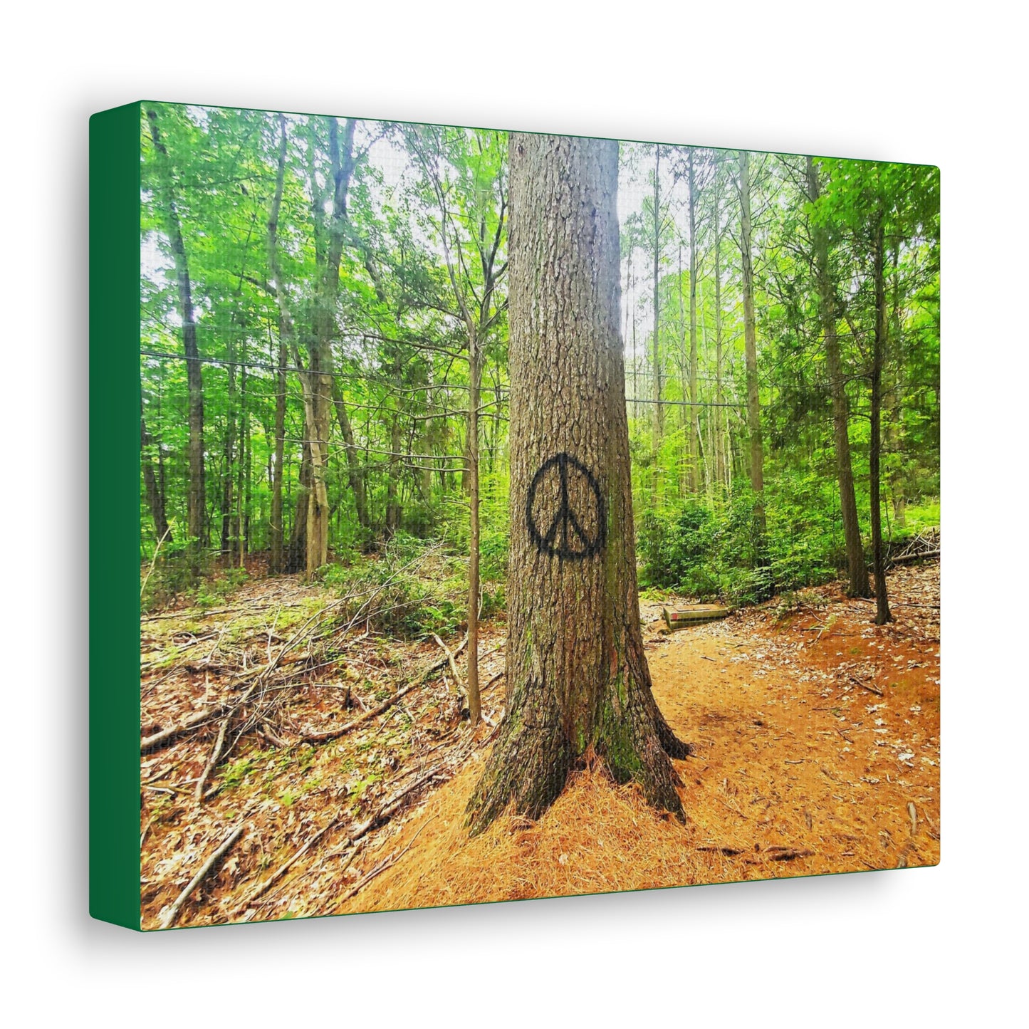 Canvas Artwork Print, Nature Photography