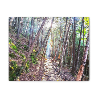 Franconia Forest Canvas Art Print