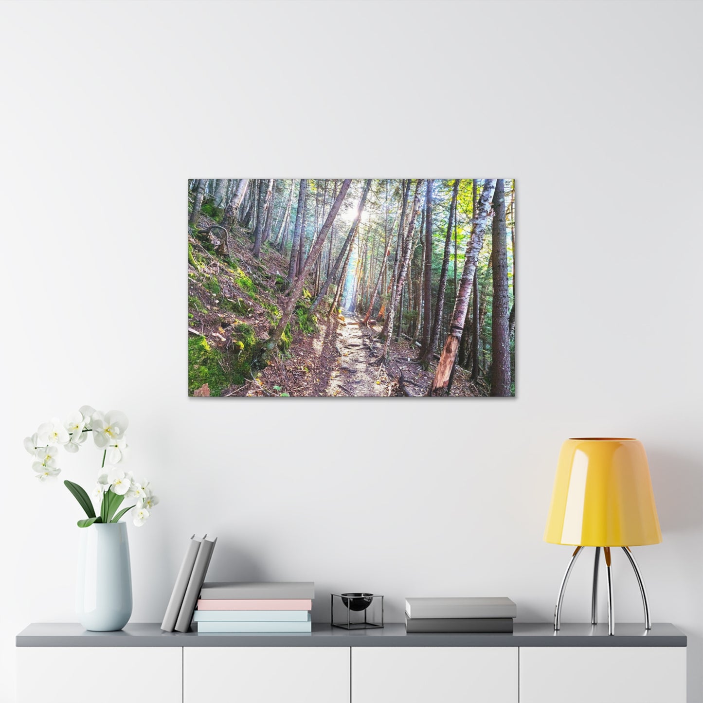 Franconia Forest Canvas Art Print