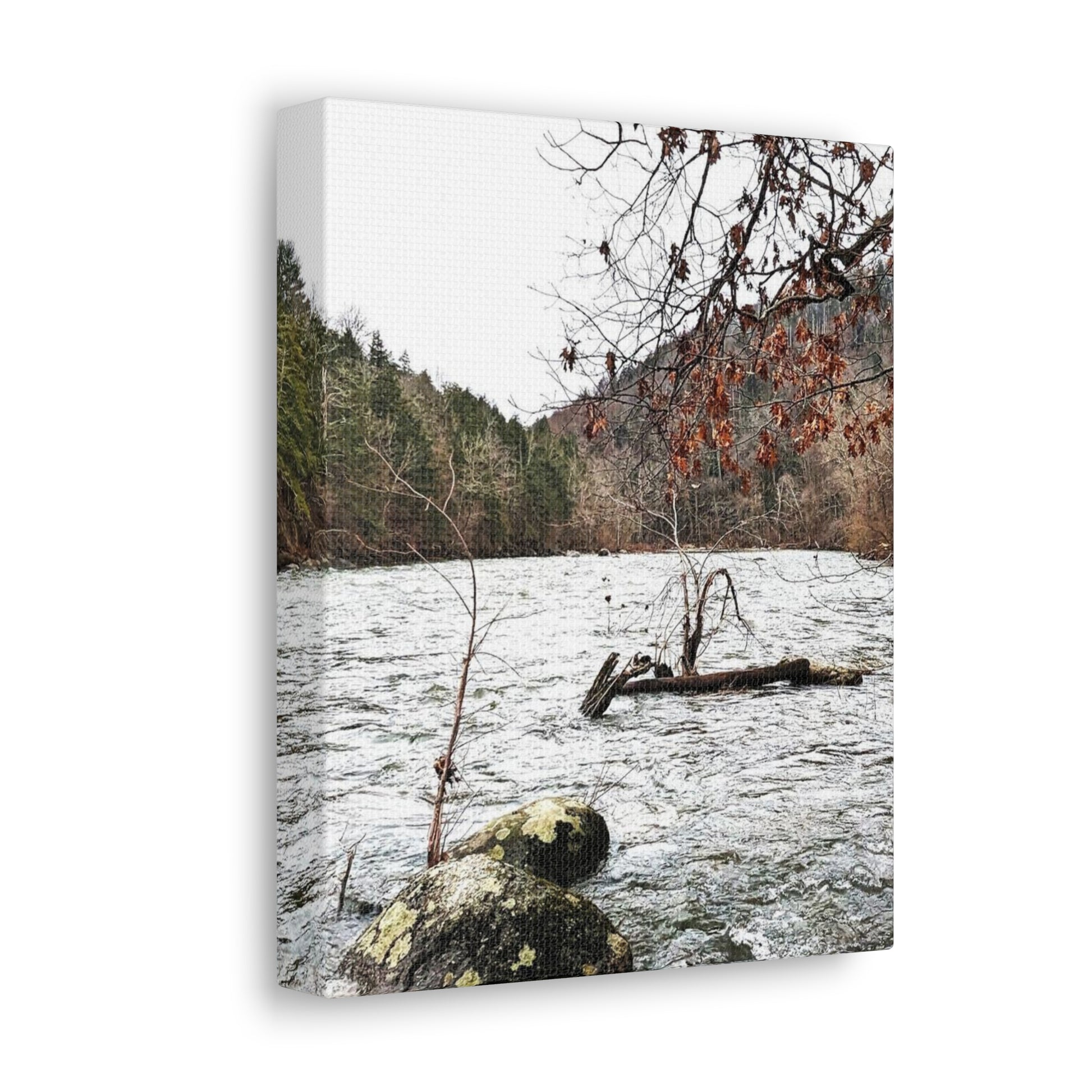 Canvas Artwork Print, Nature Photography