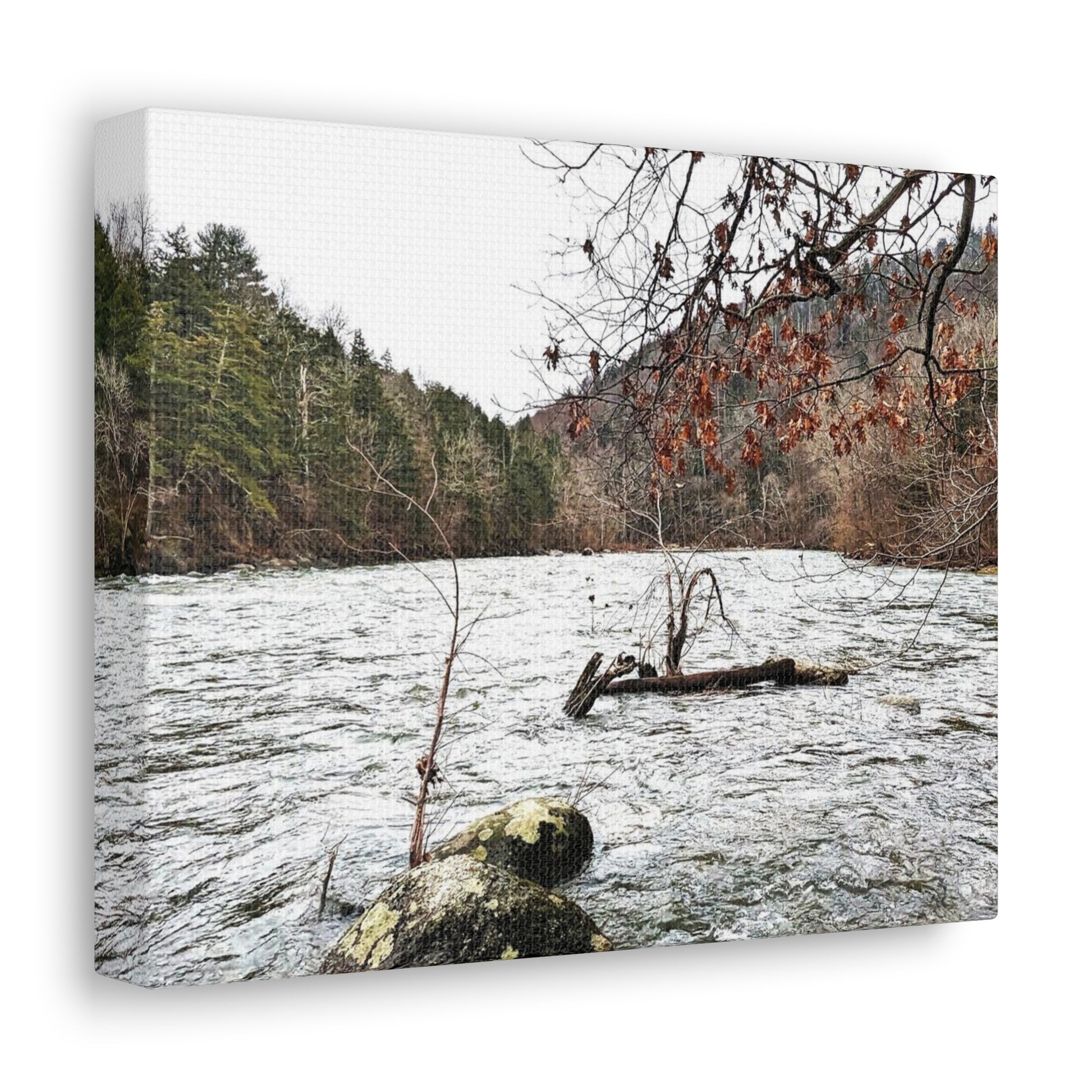 Canvas Artwork Print, Nature Photography