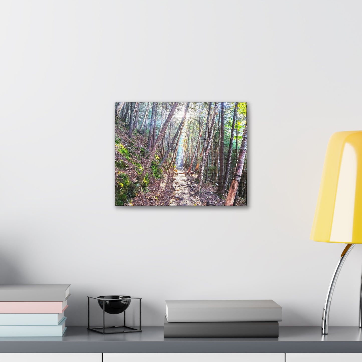 Franconia Forest Canvas Art Print