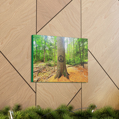 Peace Tree Canvas Art Print