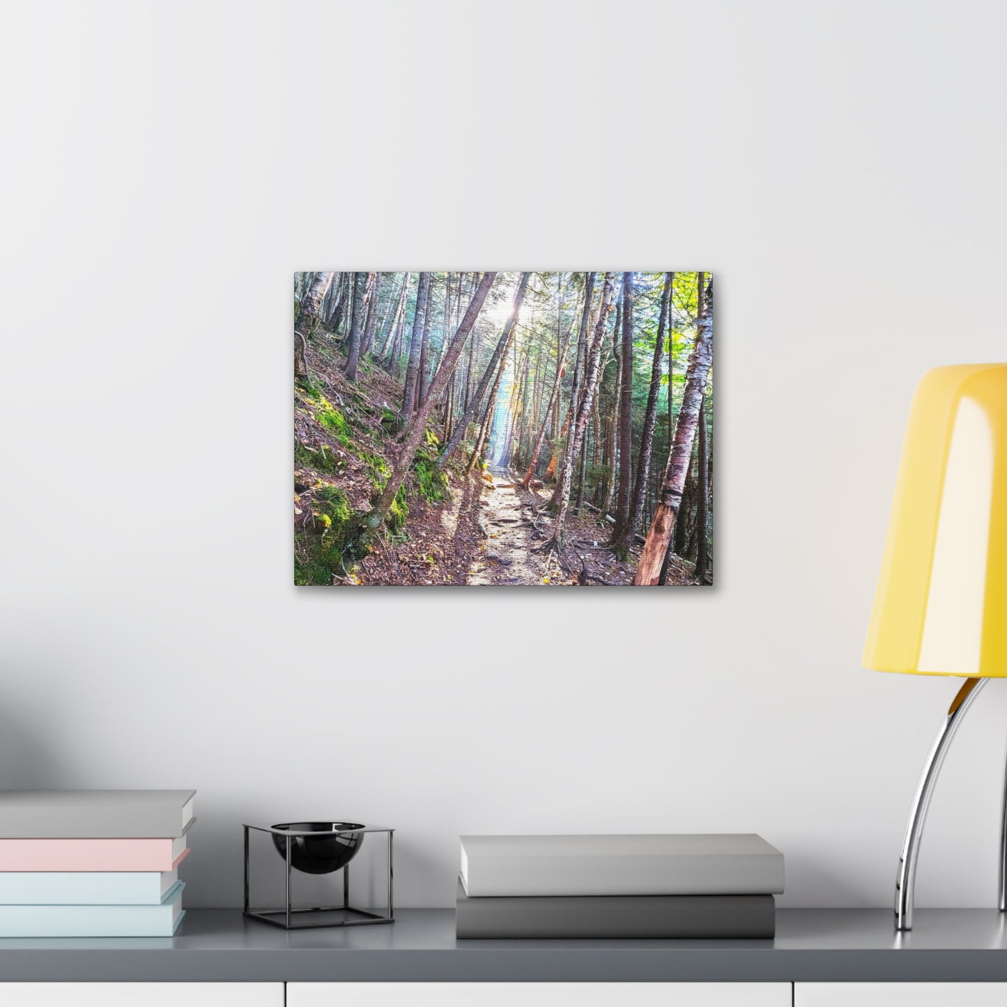 Franconia Forest Canvas Art Print