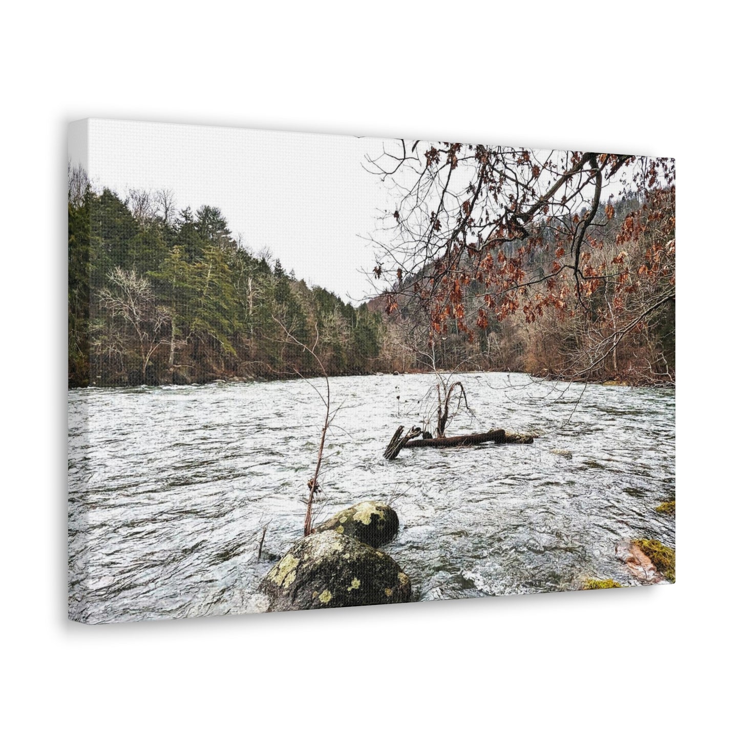 Canvas Artwork Print, Nature Photography