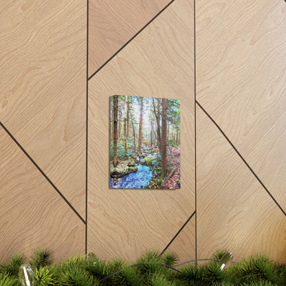 Race Brook Falls Trail Canvas Art Print