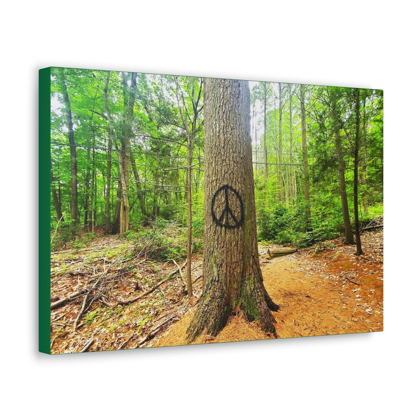 Peace Tree Canvas Art Print