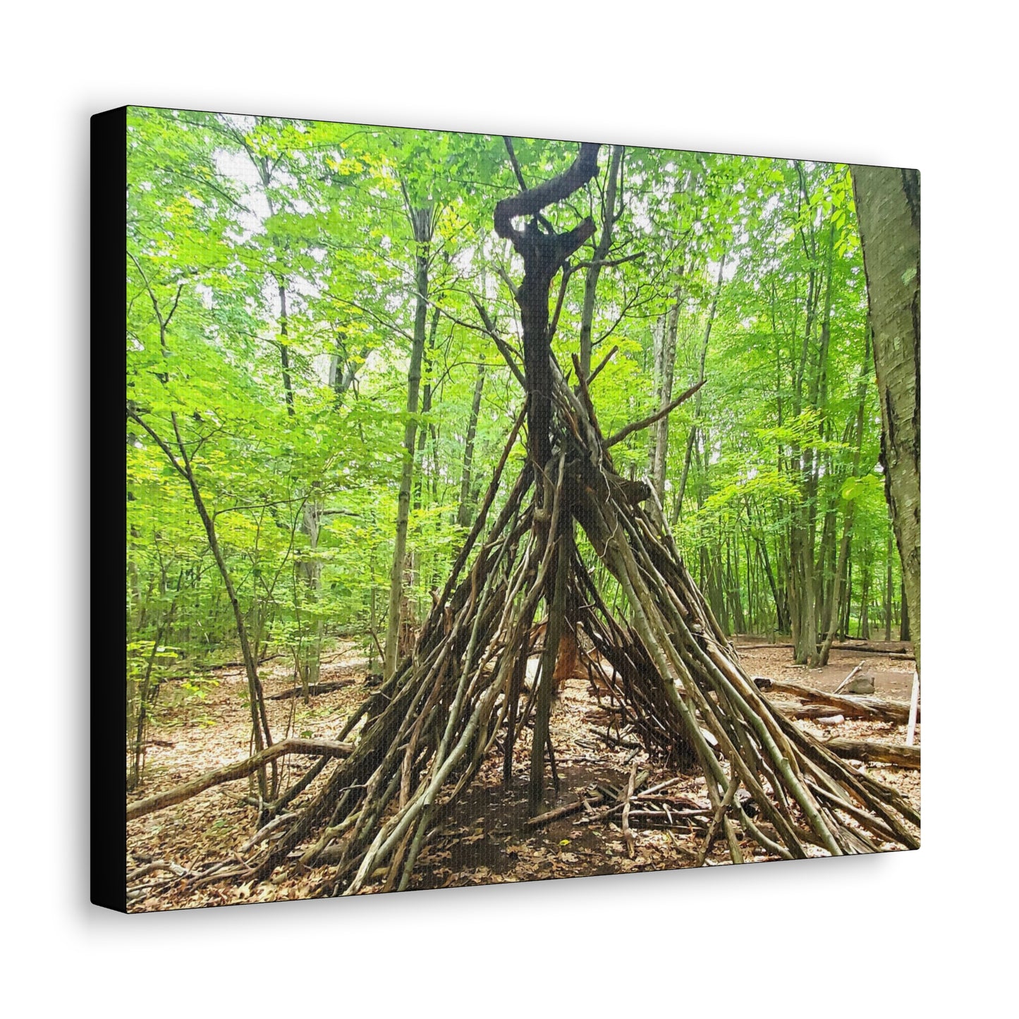 Canvas Artwork Print, Nature Photography