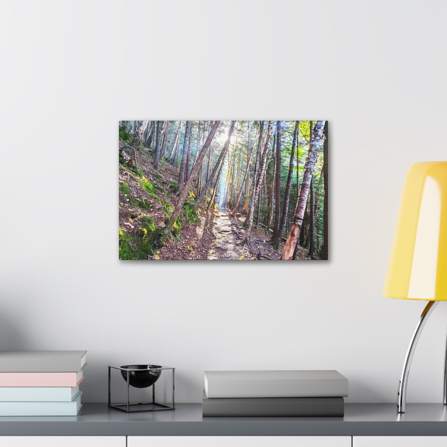 Franconia Forest Canvas Art Print