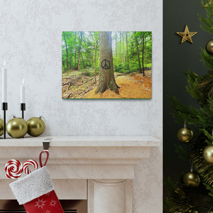 Peace Tree Canvas Art Print