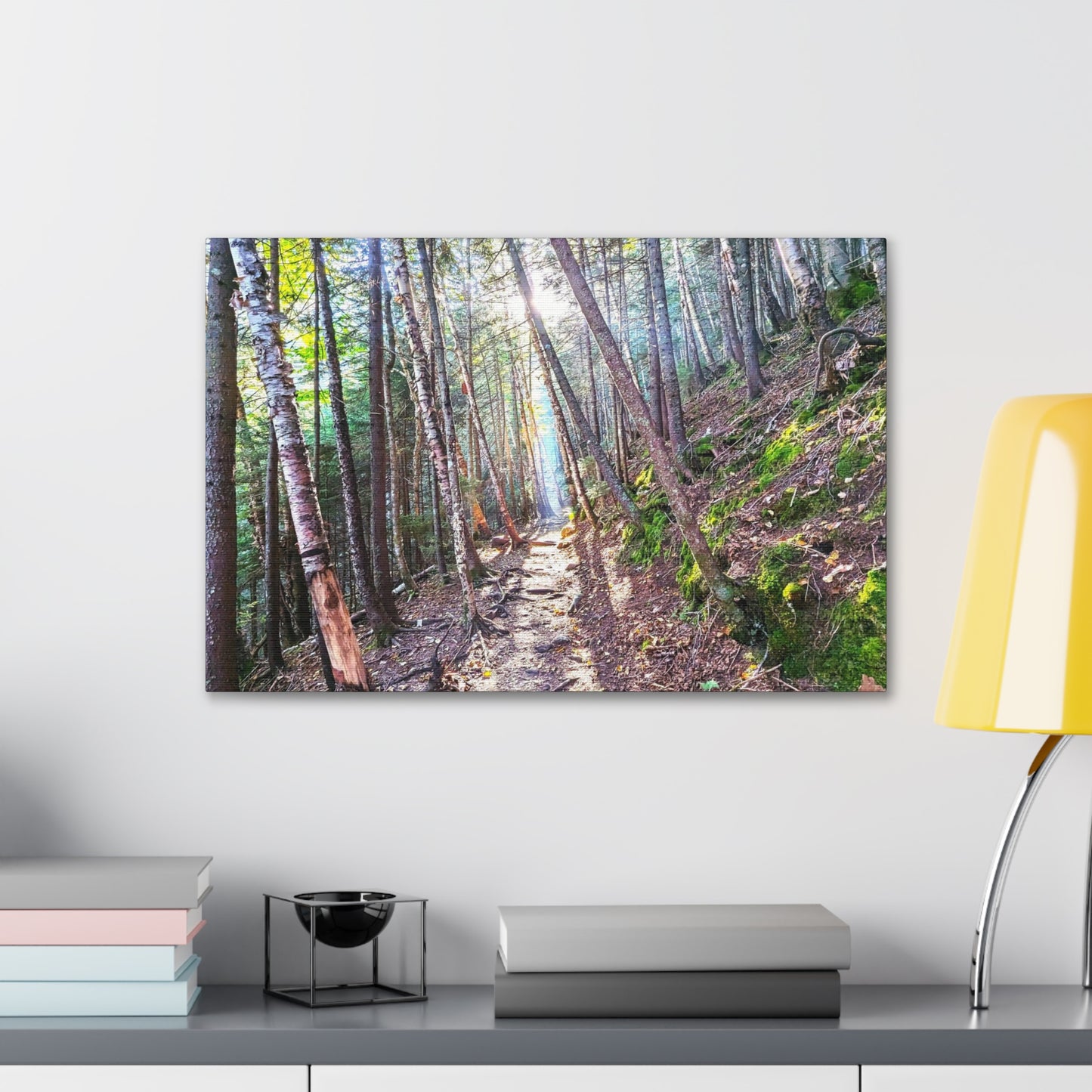 Franconia Forest Canvas Art Print