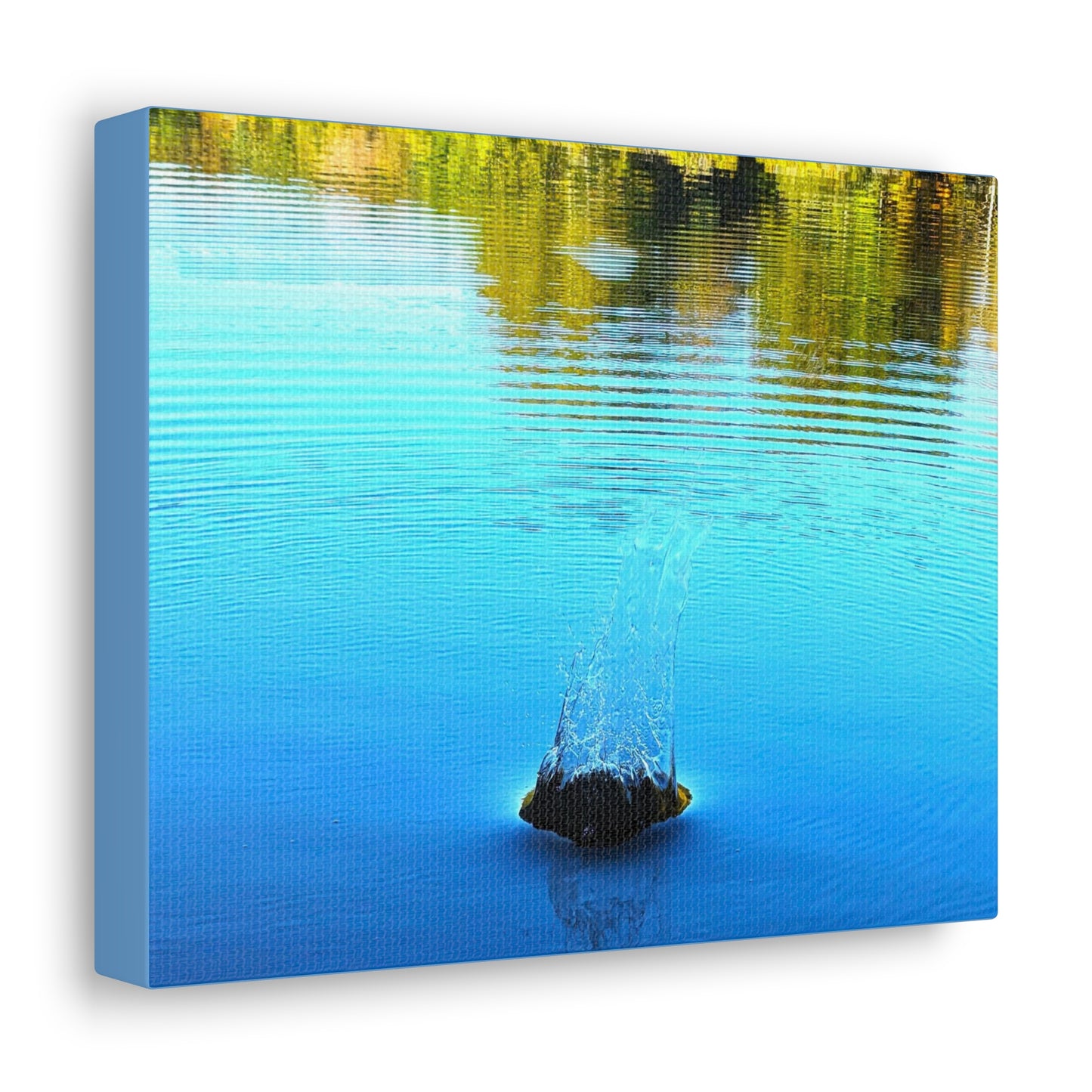 Canvas Artwork Print, Nature Photography