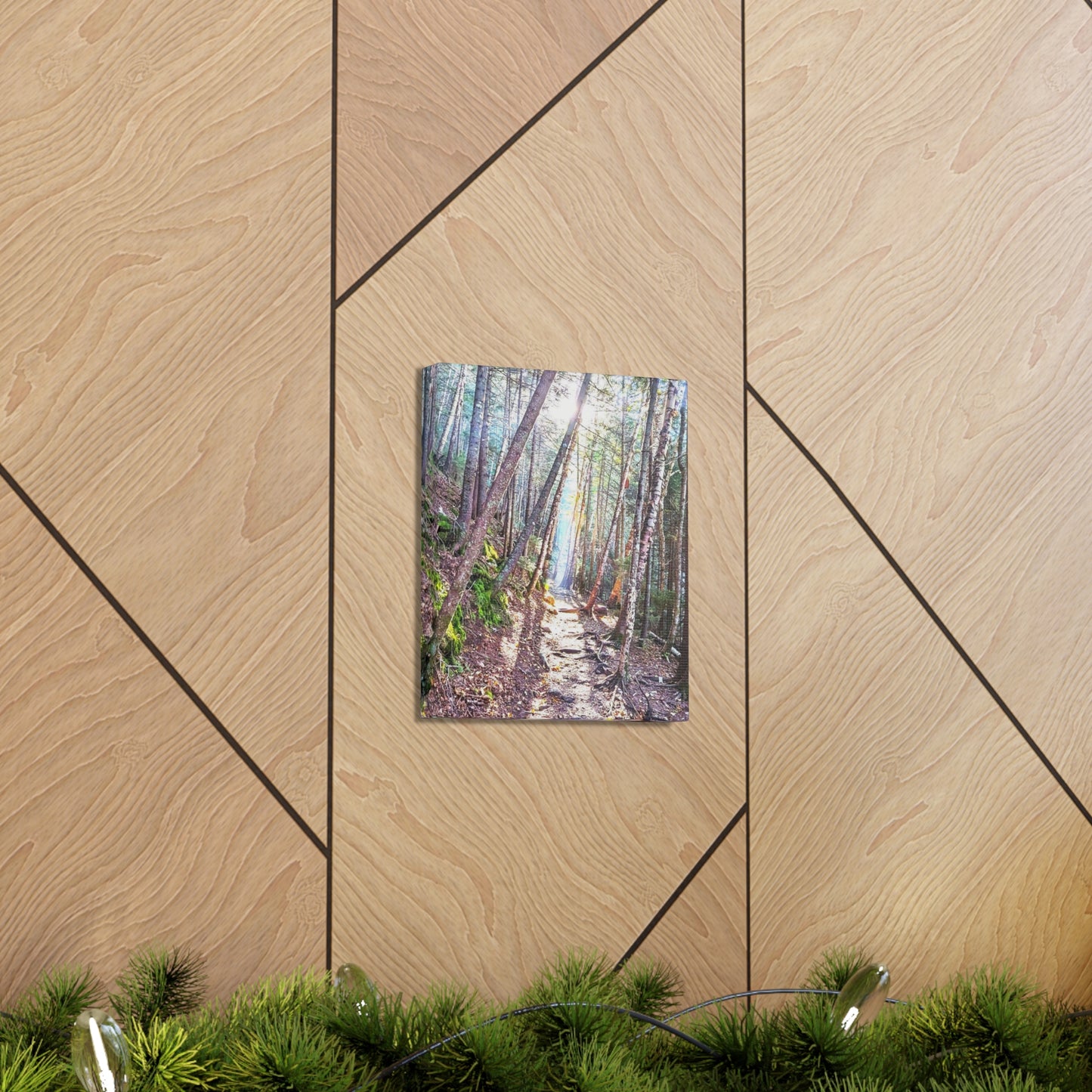 Franconia Forest Canvas Art Print