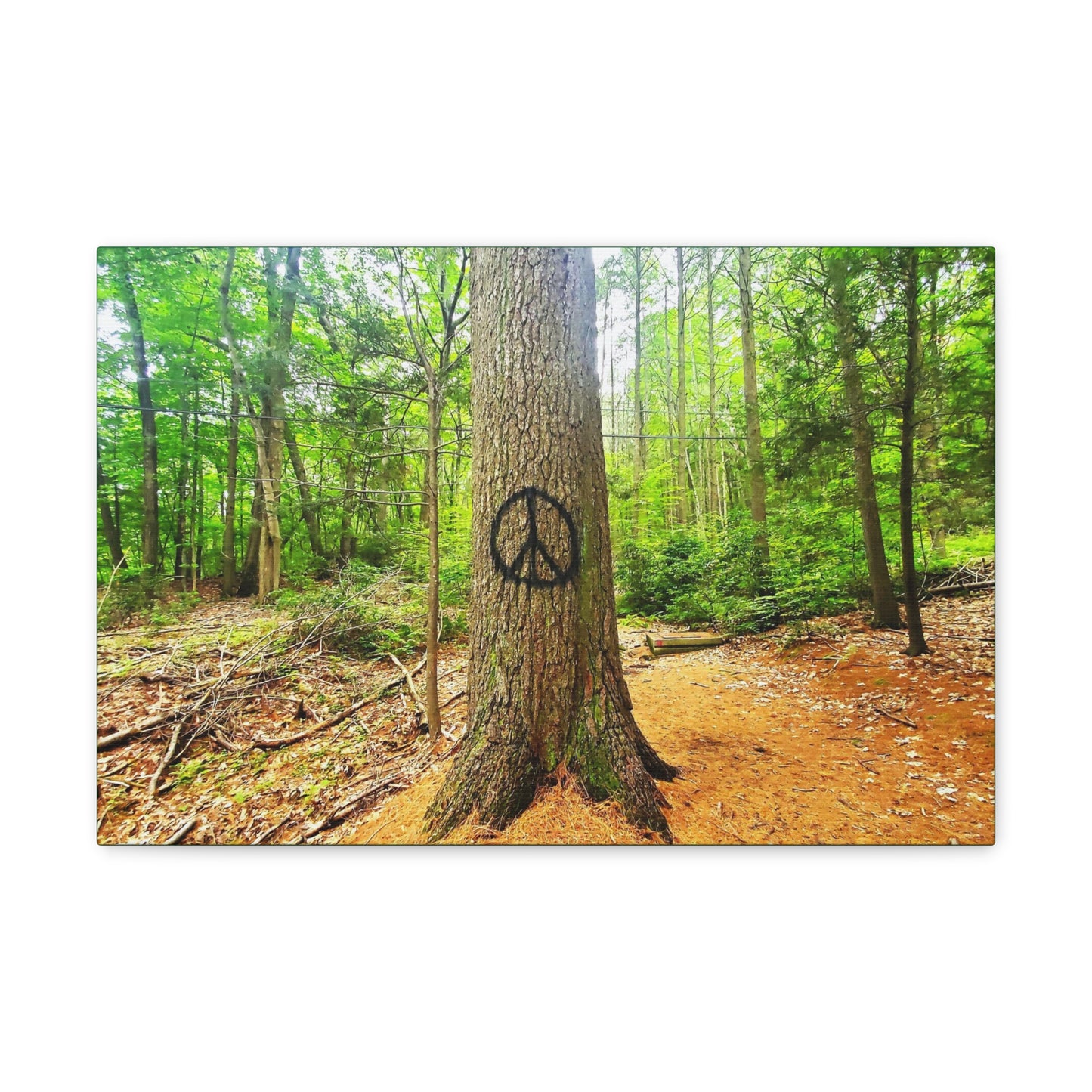 Peace Tree Canvas Art Print