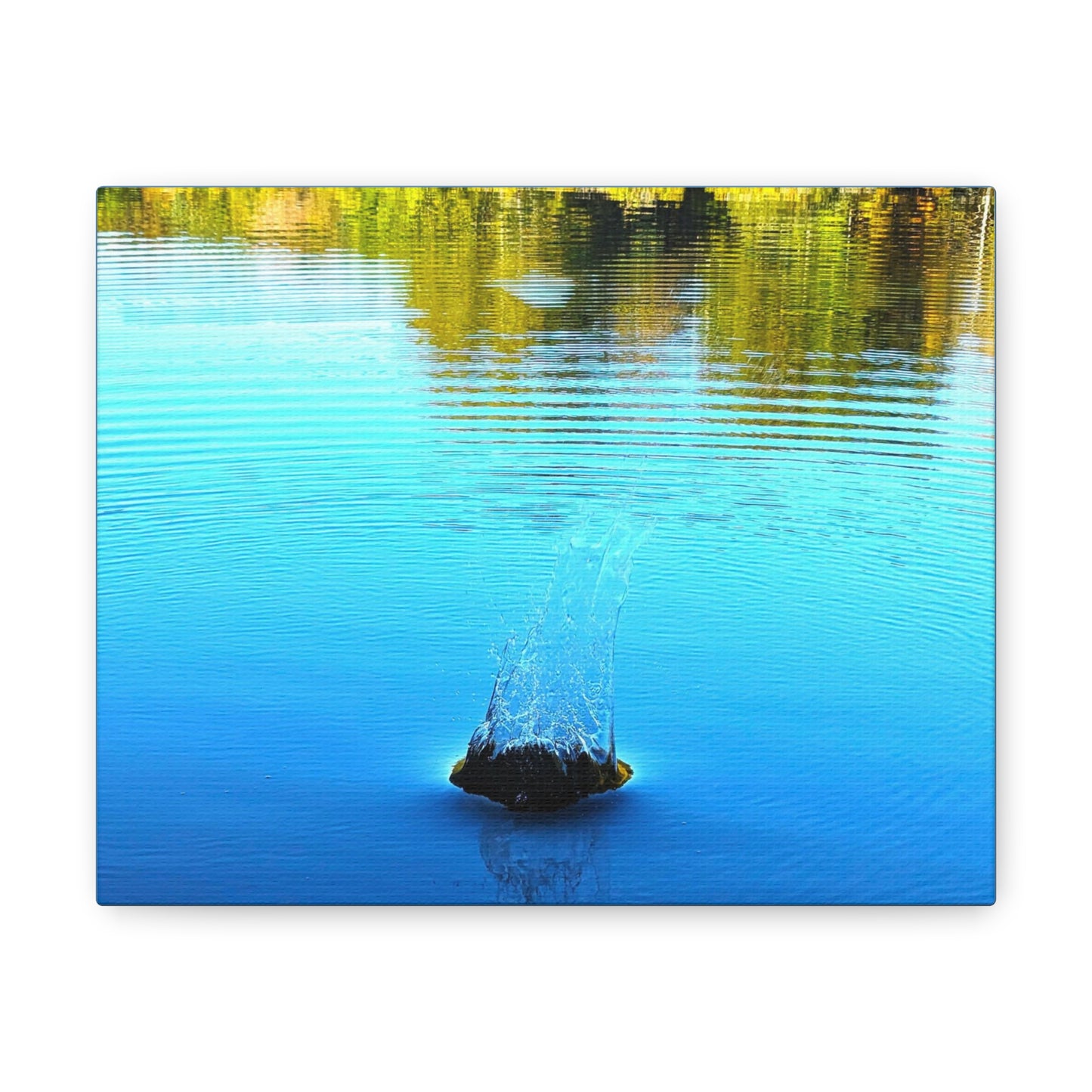 Saugatuck Splash Canvas Art Print