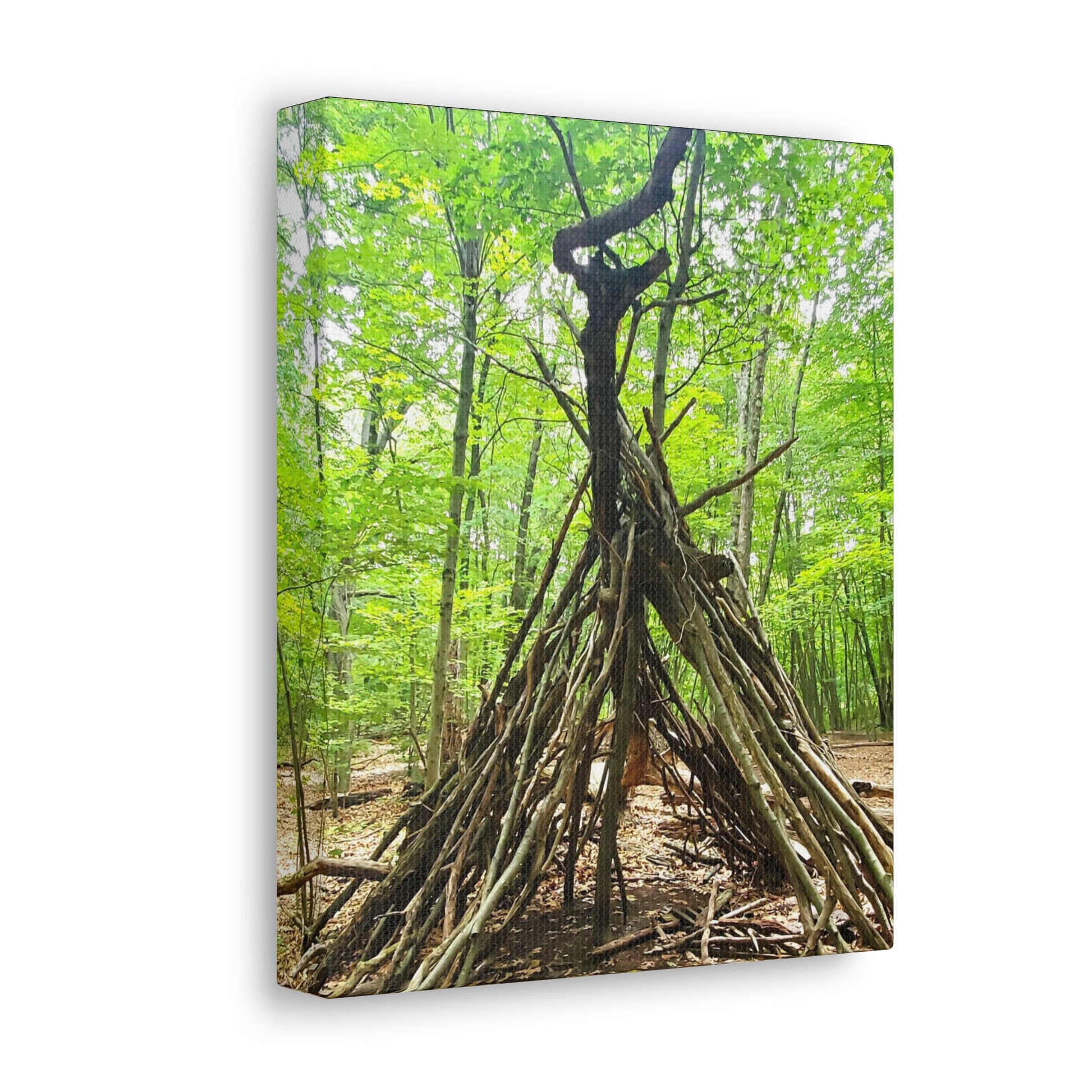 Canvas Artwork Print, Nature Photography