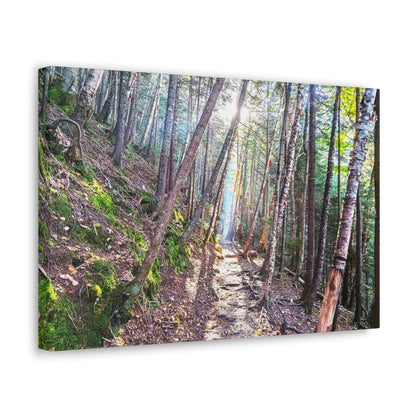 Canvas Artwork Print, Nature Photography