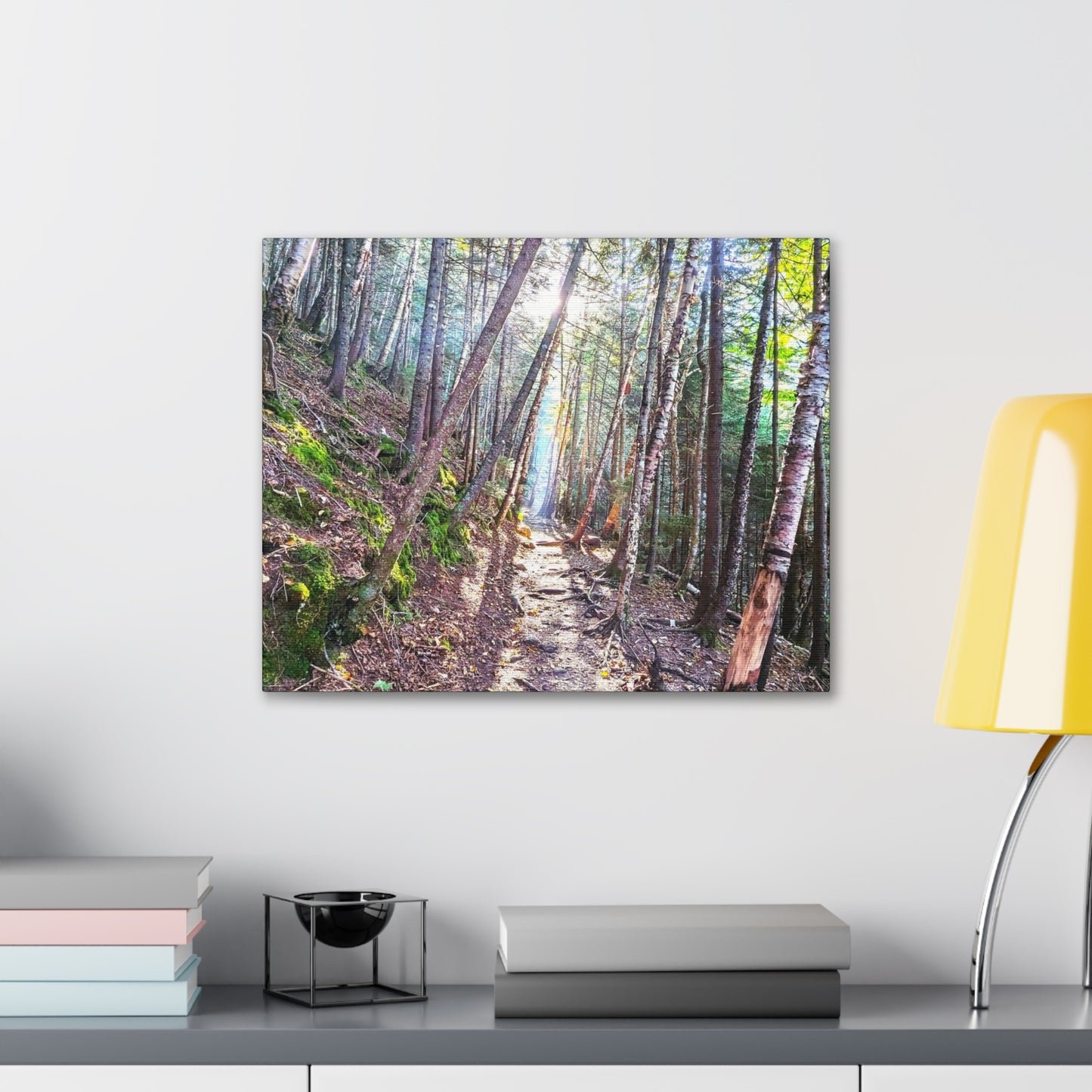 Franconia Forest Canvas Art Print