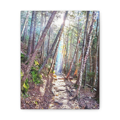 Franconia Forest Canvas Art Print