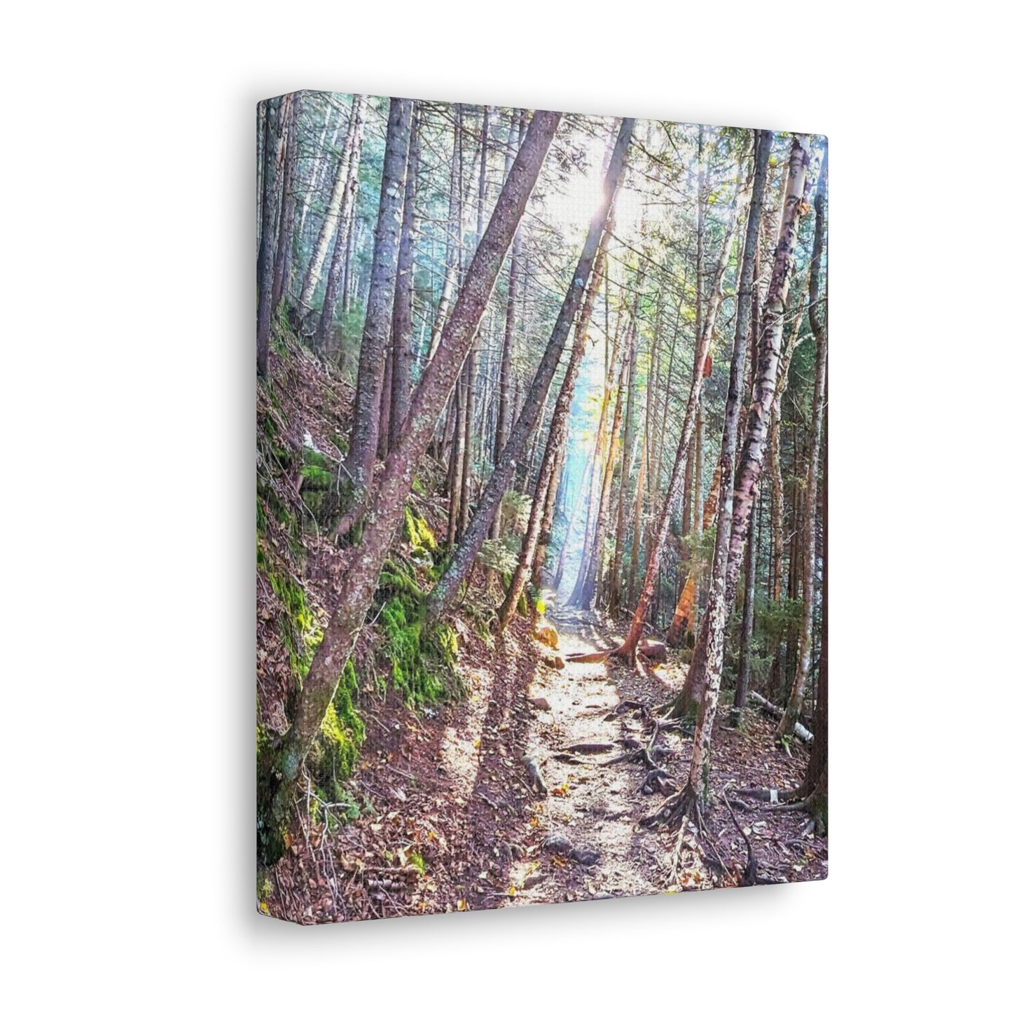 Canvas Artwork Print, Nature Photography