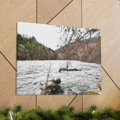 Houstatonic and Tenmile River Canvas Art Print