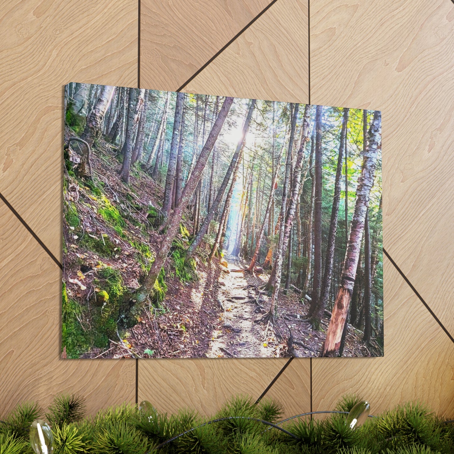 Franconia Forest Canvas Art Print