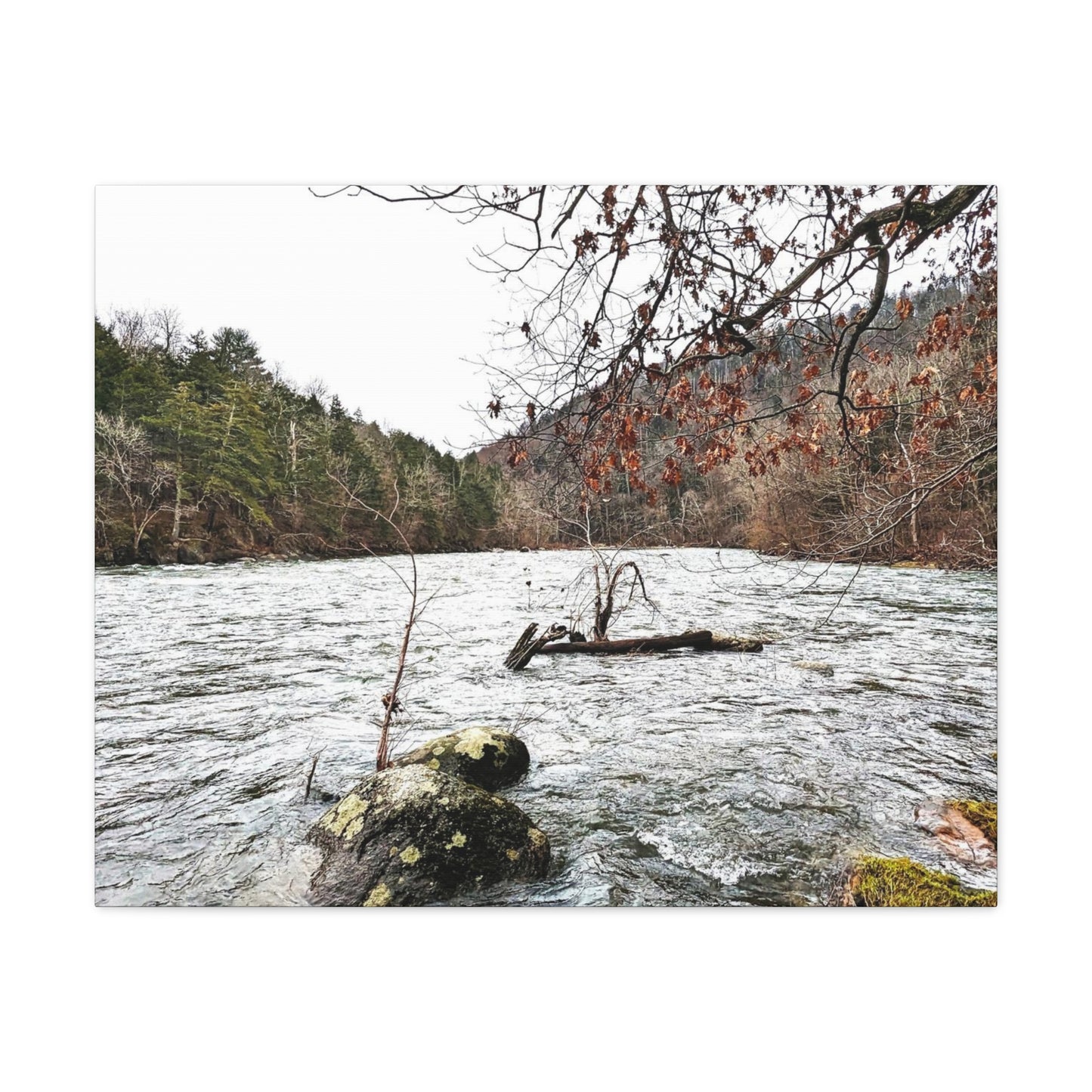 Houstatonic and Tenmile River Canvas Art Print